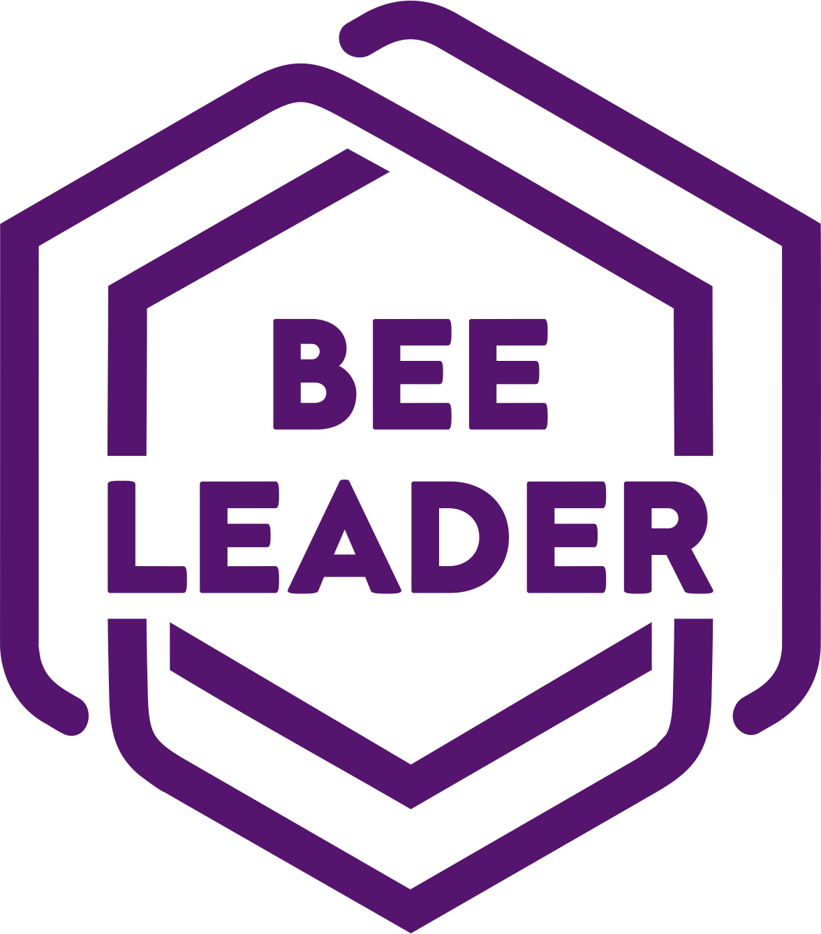 Bee Leader2a